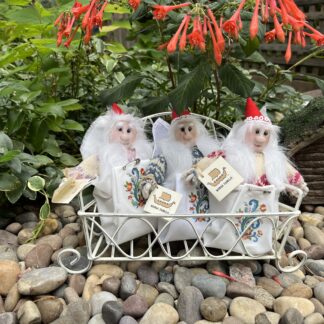 Liten Nisse Group Pic